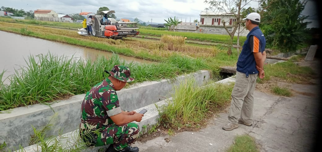 Kelompok tani sedyo Karyo Makmur Malangrejo area selatan Nayan