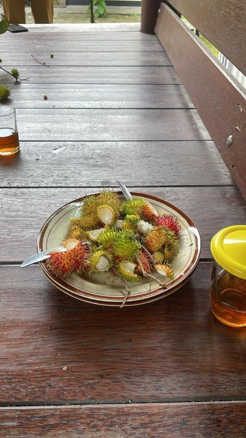 Makan siang pegawai - Kal Wedomartani