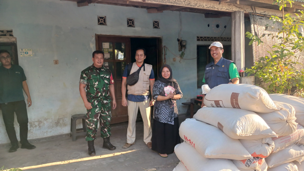 Jemput Gabang Kering Panen oleh Bulog - Kal. Wedomartani