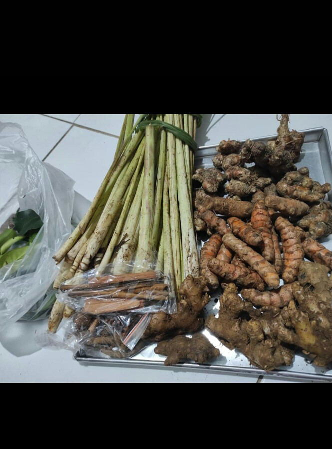 Pembuatan jamu rumahan saren