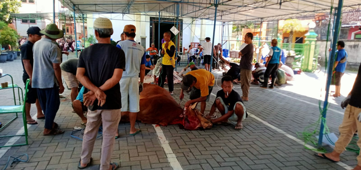 Mengkuliti hewan  korban rt 33 rw 34 Padukuhan malangrejo