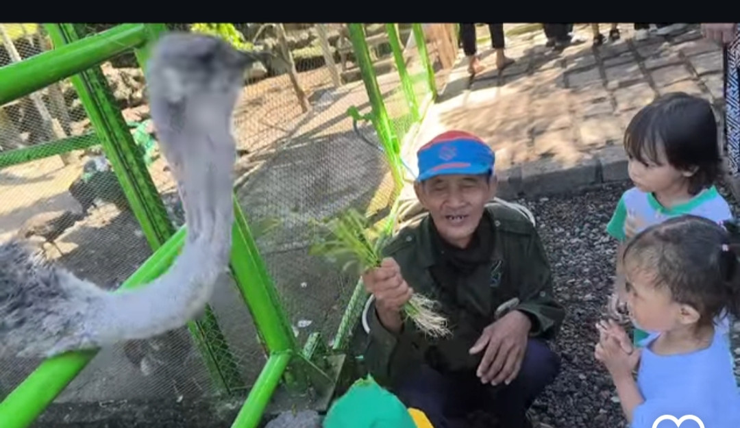 Kunjungan paud tunas bangsa condong sari ke kawasan candi gebang dan mahasvin farm di gebang jetis wedomartani