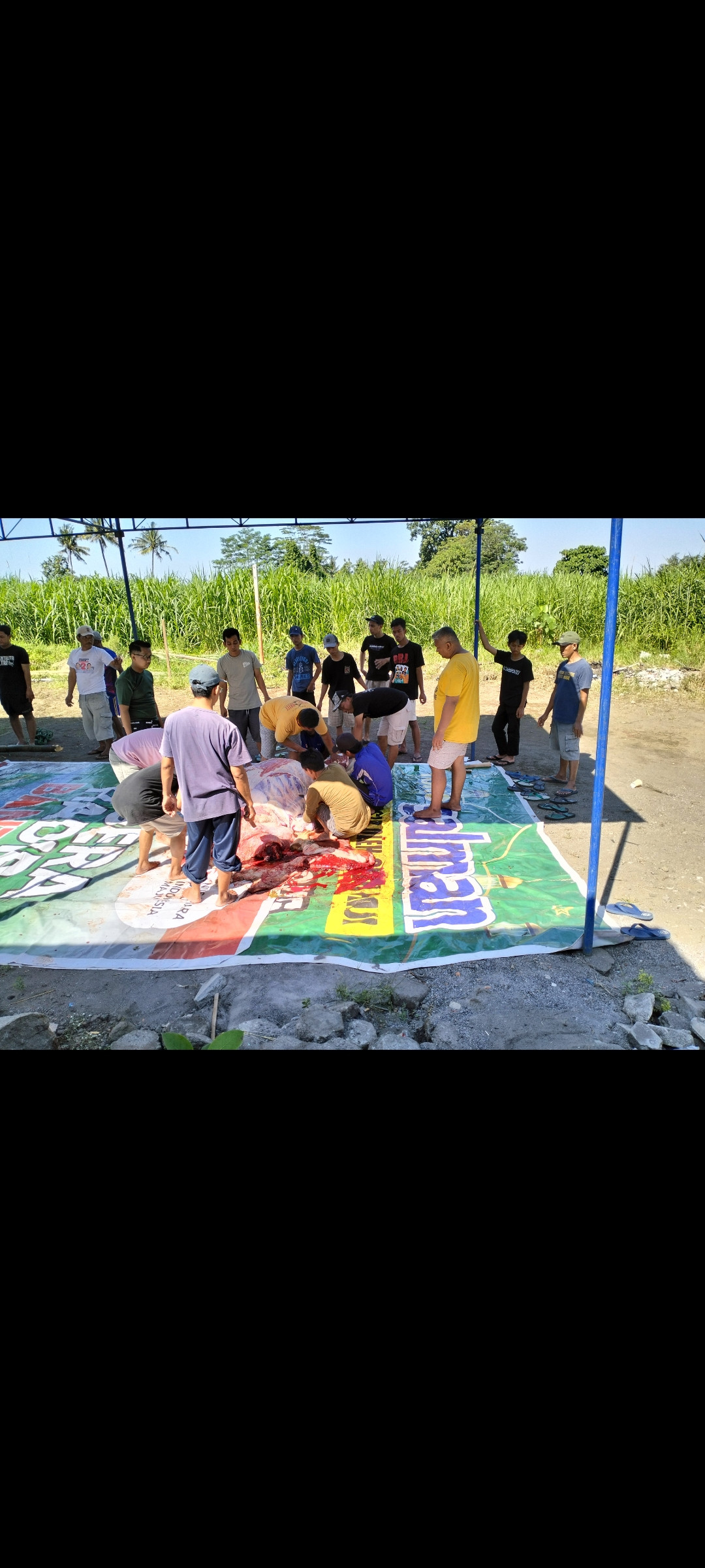 Pemotongan Hewan Kurban Padukuhan Wonosari
