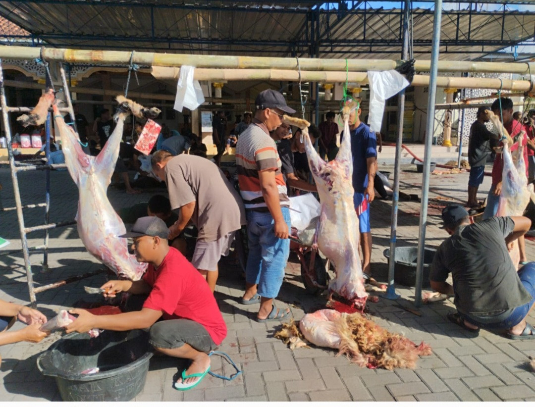 Mengkuliti Hewan Kurban Masjid Al-Amin Pokoh