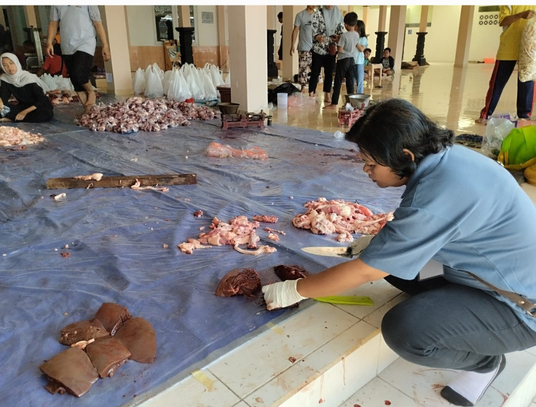 Pemeriksaan Hati Hewan Kurban Oleh Dokter Hewan Di Masjid Al-Amin Pokoh