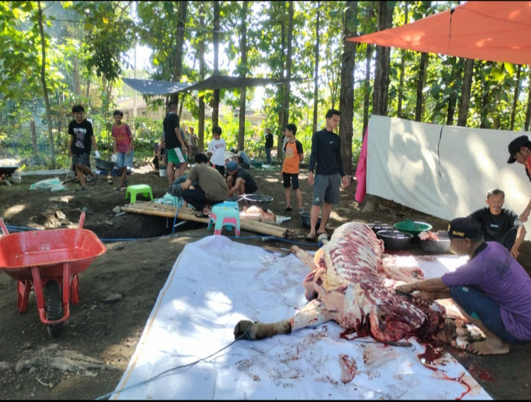 Penyembelihan Hewan Kurban Mushola Margo Mulyo Pokoh