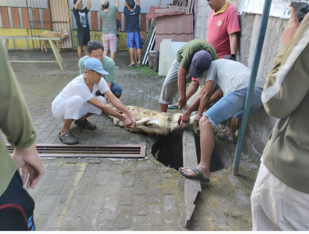 Penyembelihan Hewan Kurban Masjid Sabilussa'adah Pokoh