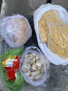 Menyuplai bahan mentah PMT lokal oleh kader Sanggrahan