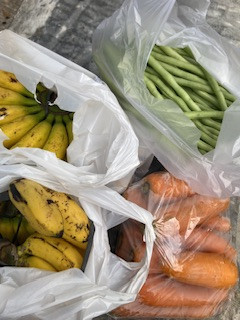 Menyuplai bahan mentah PMT lokal oleh kader Sanggrahan