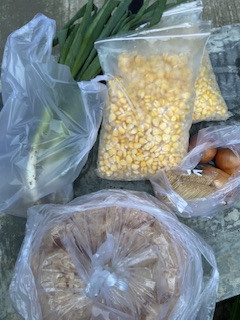 Menyuplai bahan mentah PMT lokal oleh kader Sanggrahan