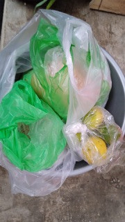 Menyuplai bahan mentah PMT lokal oleh kader Sanggrahan