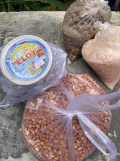 Menyuplai bahan mentah PMT lokal oleh kader Sanggrahan