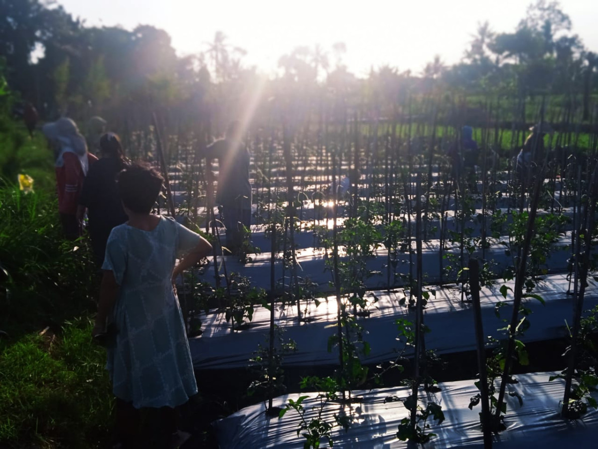 KWT Padukuhan Sawahan Lor