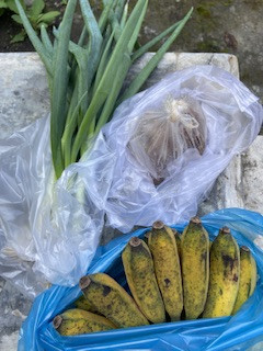 Menyuplai bahan mentah PMT lokal oleh kader Sanggrahan