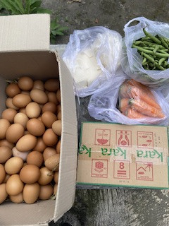 Menyuplai bahan mentah PMT lokal oleh kader Sanggrahan