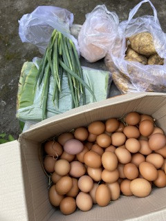 Menyuplai bahan mentah PMT lokal oleh kader Sanggrahan