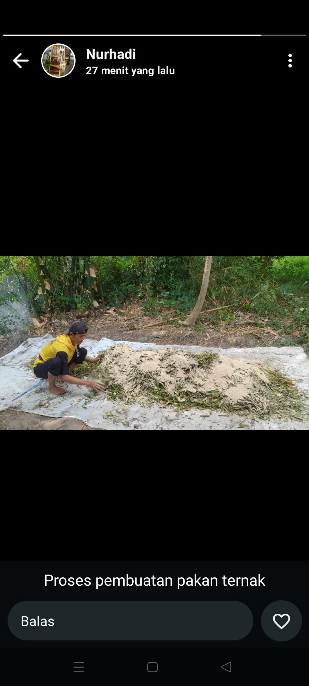 Peningkatan sdm sektor peternakan padukuhan krandon