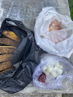 Menyuplai bahan mentah PMT lokal oleh kader Sanggrahan