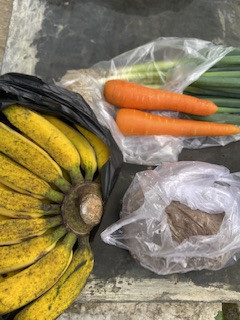 Menyuplai bahan mentah PMT lokal oleh kader Sanggrahan