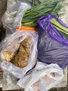 Menyuplai bahan mentah PMT lokal oleh kader Sanggrahan