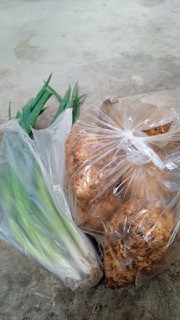 Menyuplai bahan mentah PMT lokal oleh kader Sanggrahan