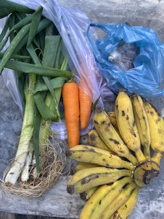 Menyuplai bahan mentah PMT lokal oleh kader Sanggrahsn