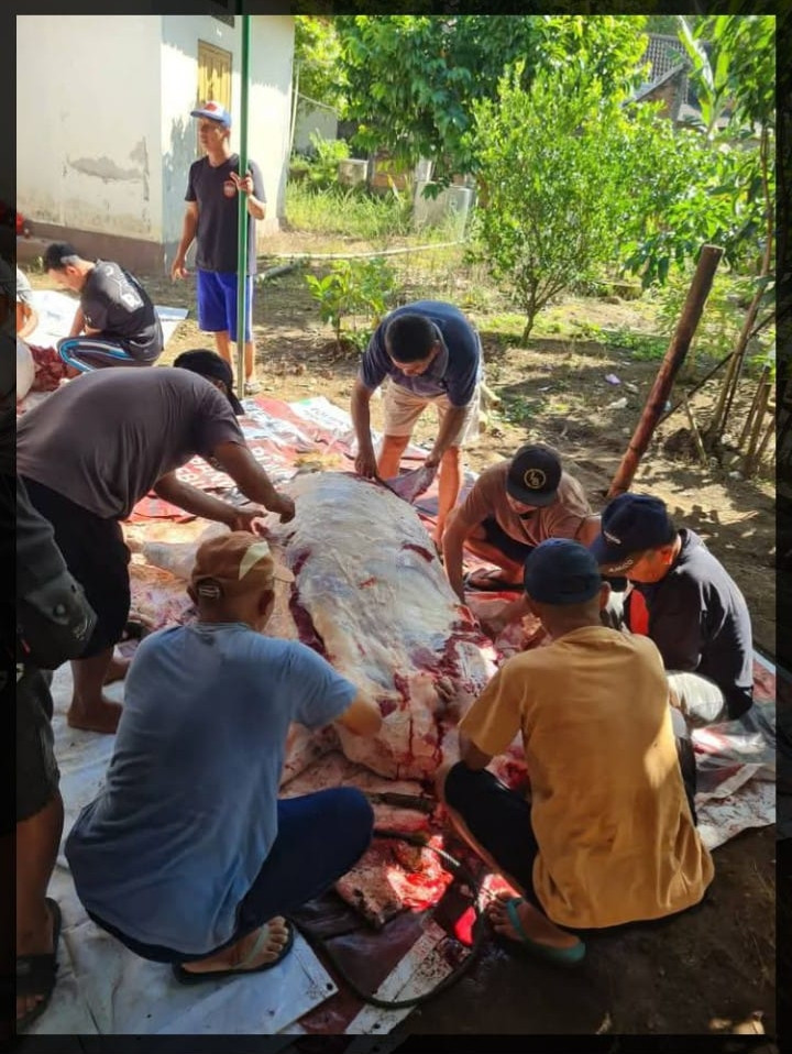 Idul Adha Jangkang Sempu