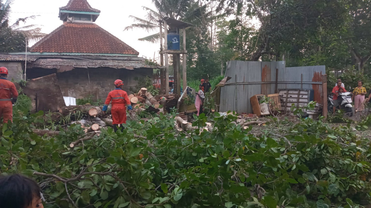 Kerja Bakti Membersihkan Pohon Tumbang Karena Angin Hujan Deras di Sempu