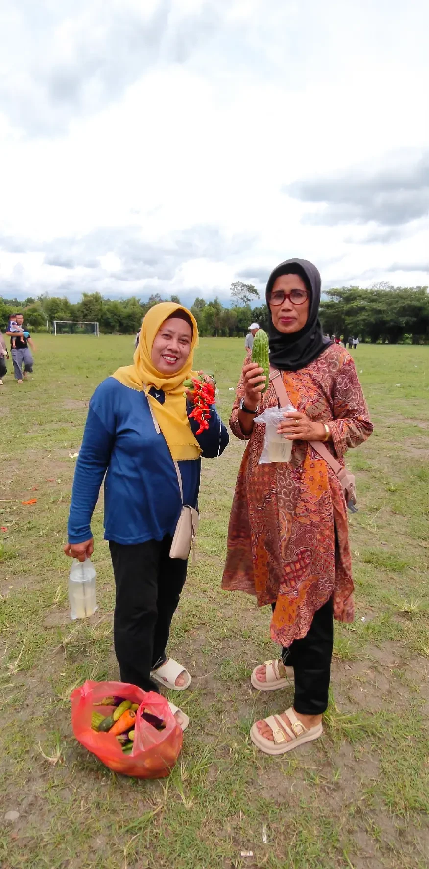 Warga Sempu Mengikuti Rangkaian Kegiatan Merti Desa dengan Berebut Gunungan Sayur dan Buah di Lapangan Kalurahan Wedomartani