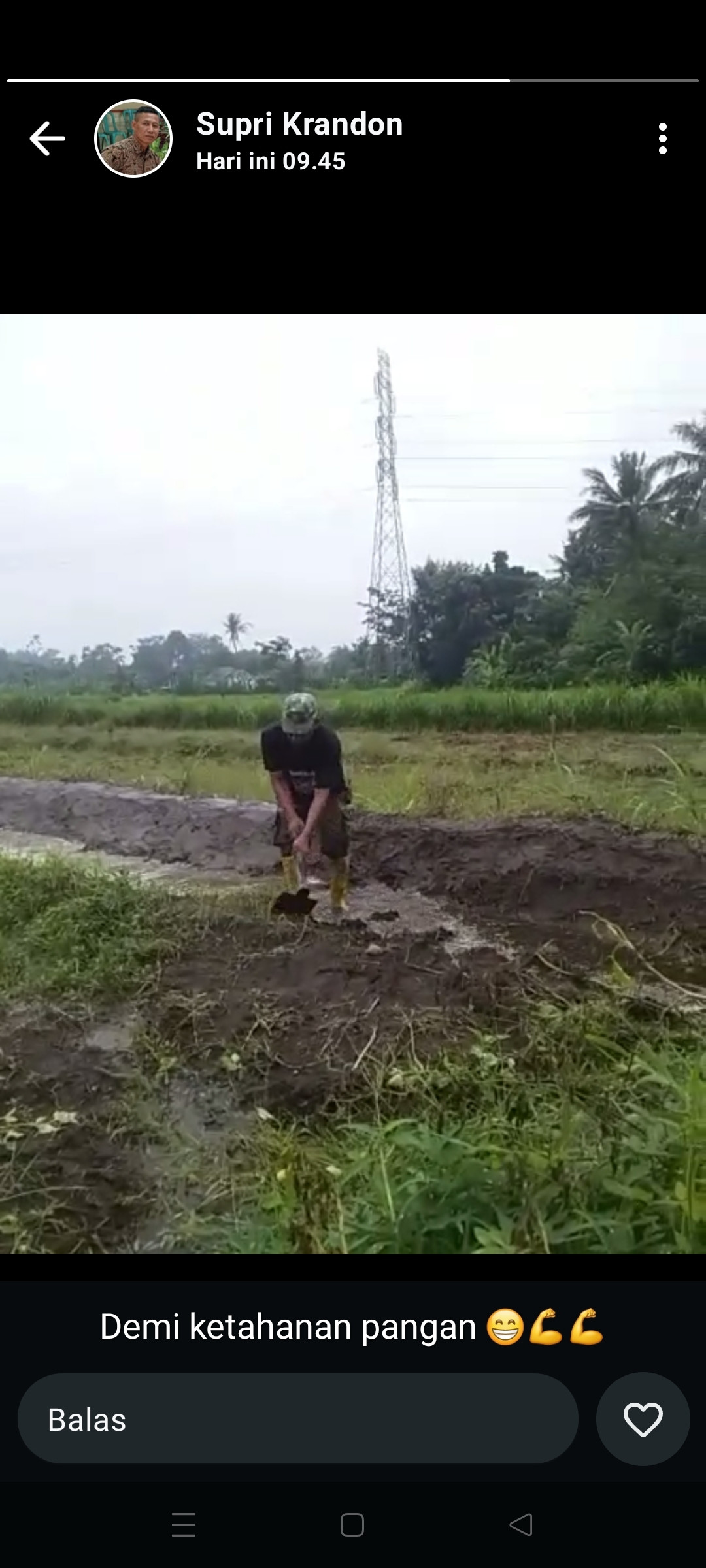 Ketahanan pangan warga krandon padukuhan krandon