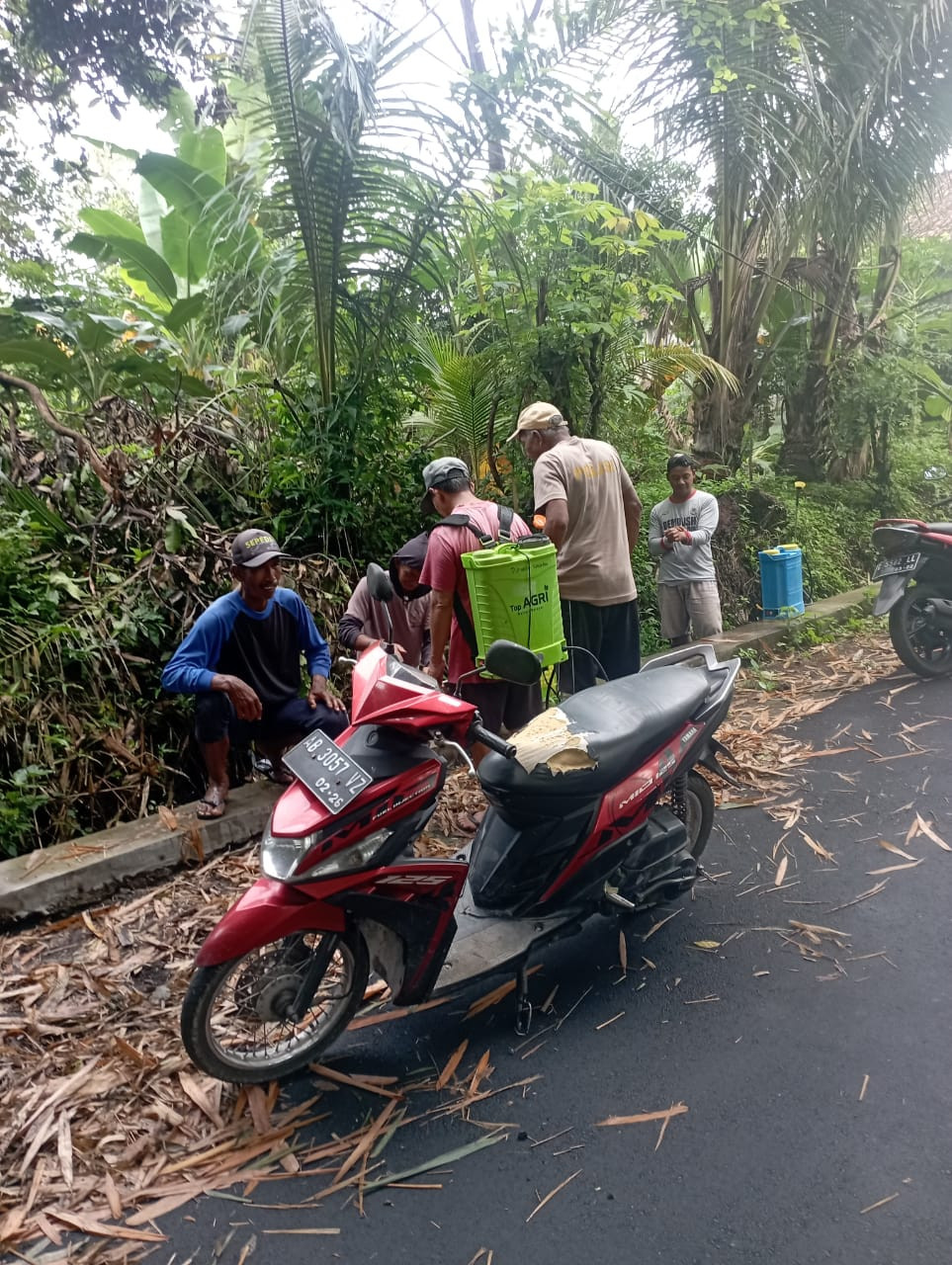 Gotong royong bersih dusun Padukuhan Sawahan Lor