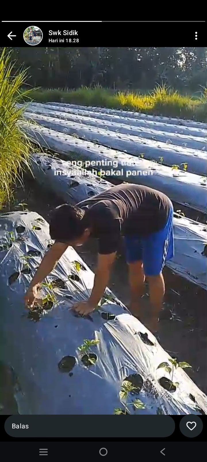 Aktivitas warga sawahan kidul(bp. Sidik)