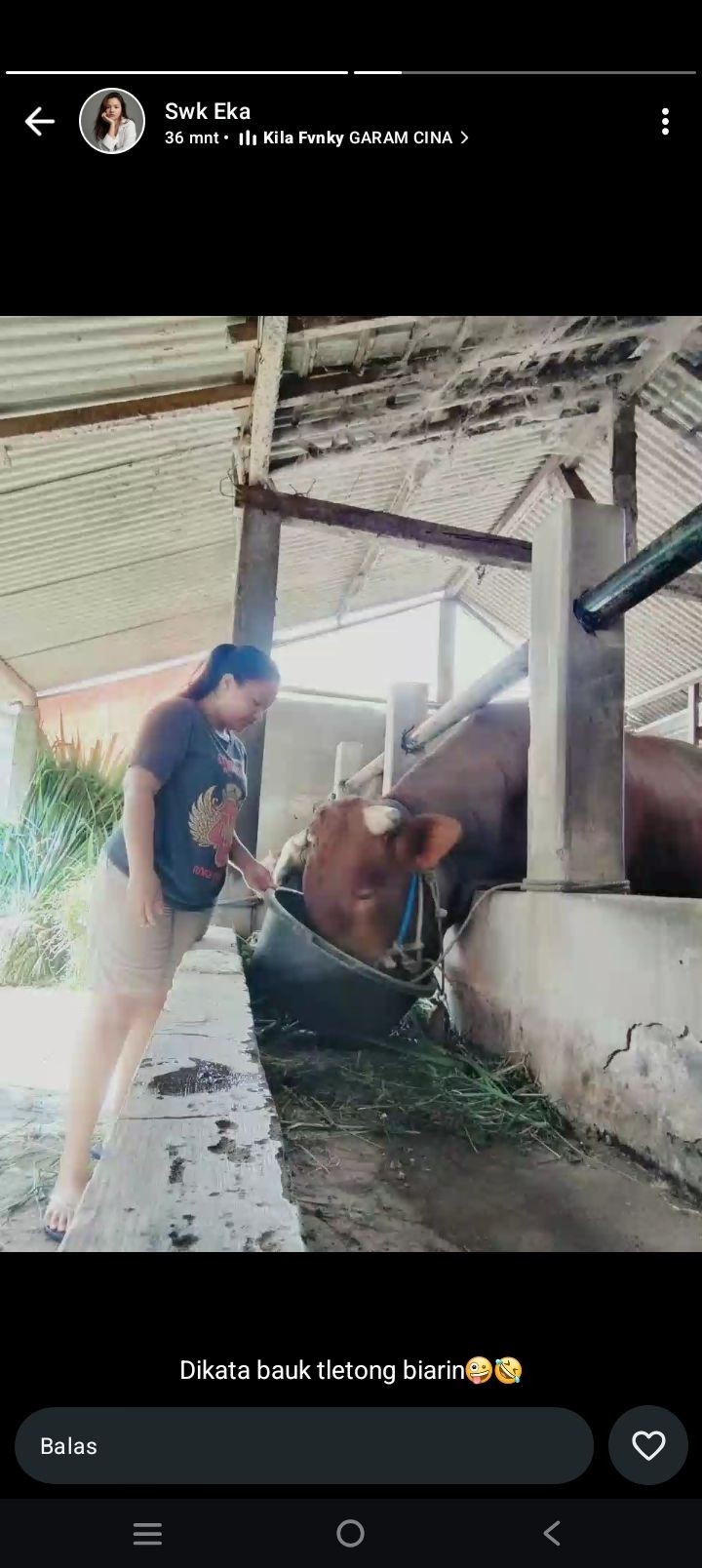 Akfivitas salah 1 warga sawahan kidul di kandang