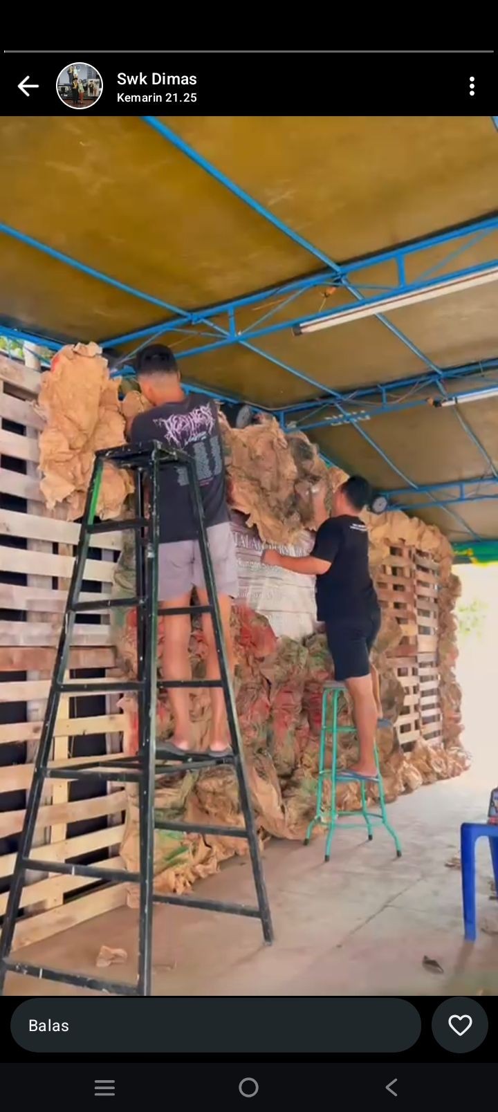 Kerja bakti persiapan natal umag kristiai, sawahan kidul