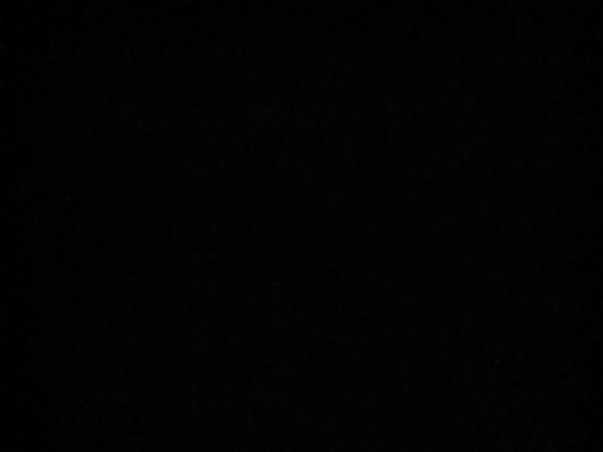 Penghitungan suara di TPS 10 puntuk Umbulmartani