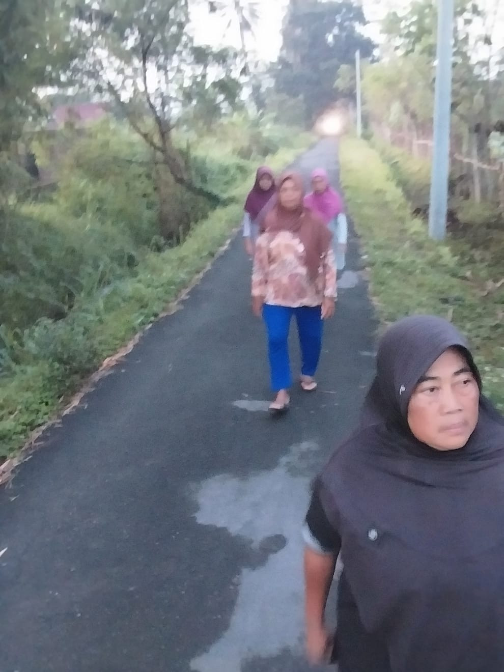 Jalan jalan pagi lansia dusun meces