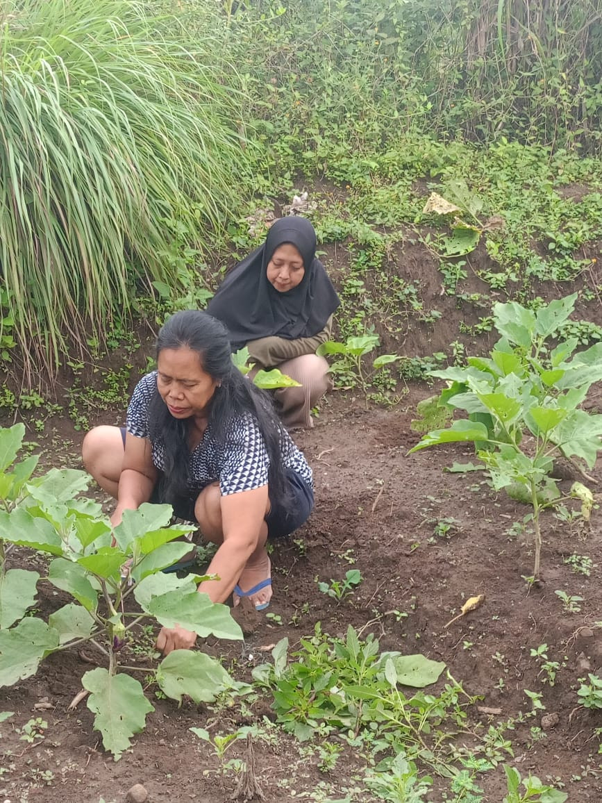 Gotong royong lahan sayuran dusun Ngemplak 1