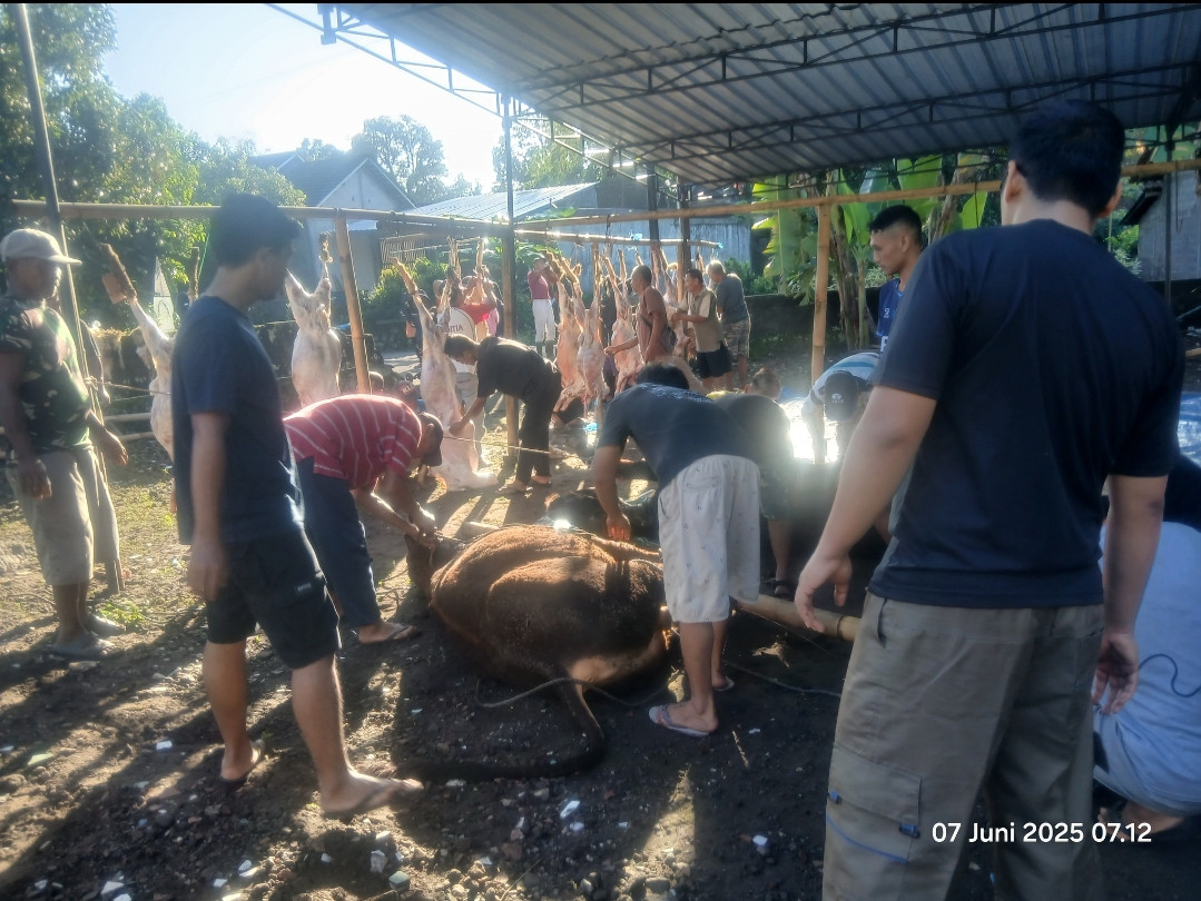 Gotongroyong warga cilikan penyembelihan hewan qurban