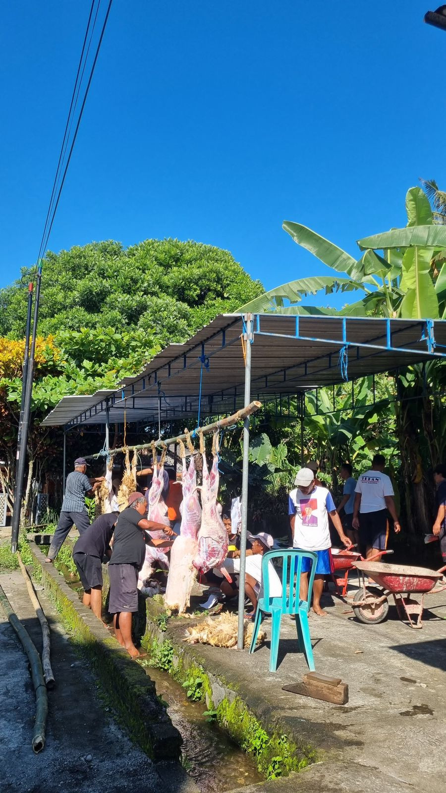 Penyembelihan Hewan Kurban Warga Dusun Kopatan