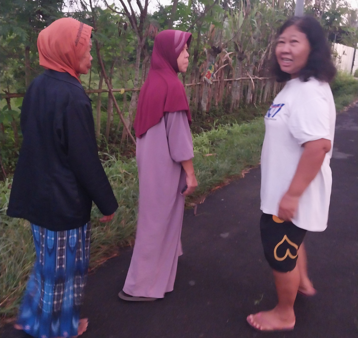 Jalan jalan pagi lansia dsn meces