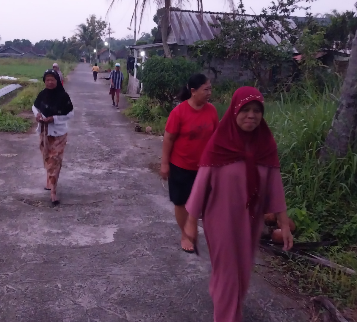 Jalan jalan pagi lansia dsn meces