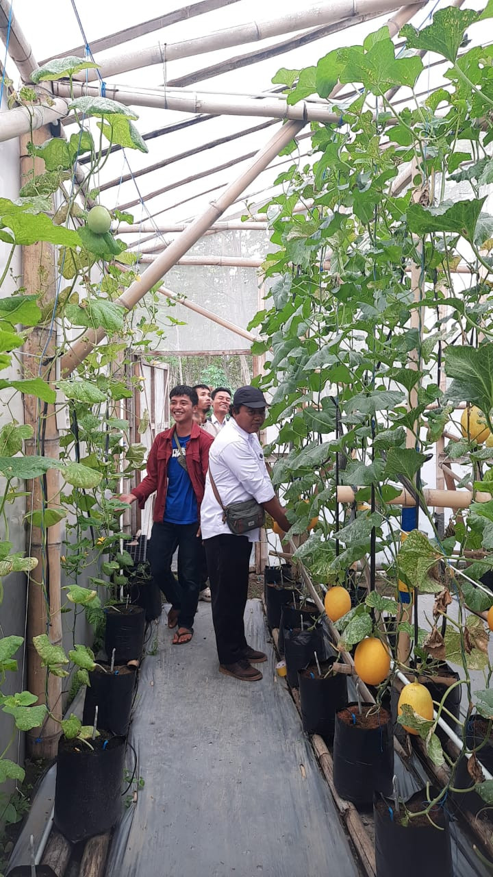 Kunjungan agribisnis warga dusun sapen