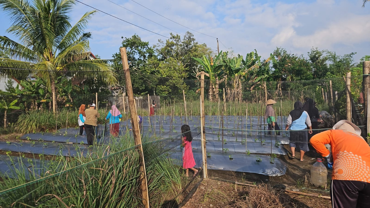 Gotong royong di lahan kwt umbulrejeki puntuk