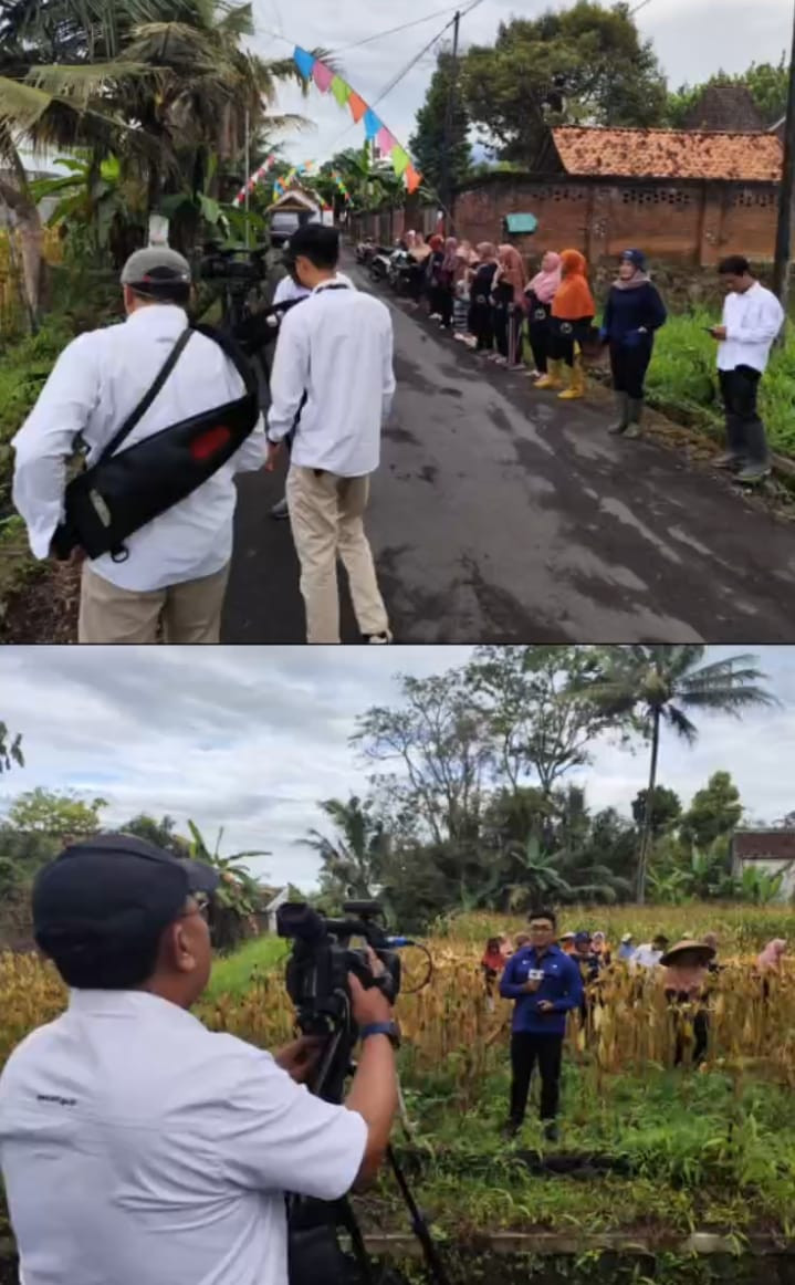 Lahan KWT siaran TVRI jogja yang diikuti ANggota KWT Puntuk