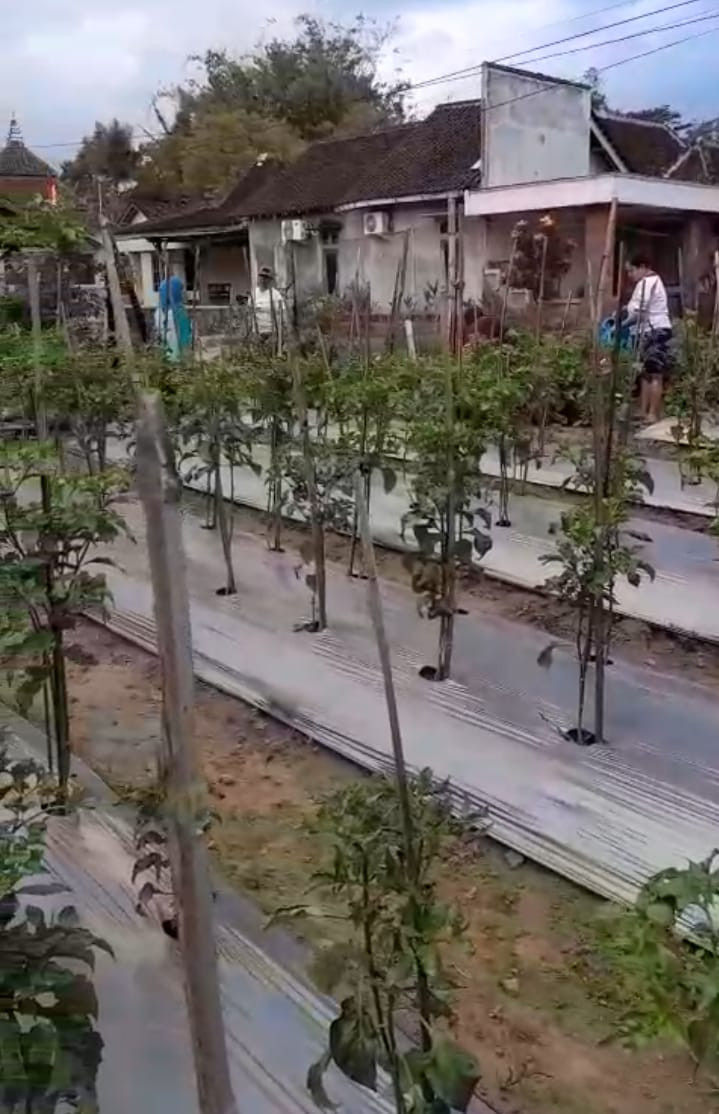 Warga Puntuk melakukan Gotong royong di demplot KWT