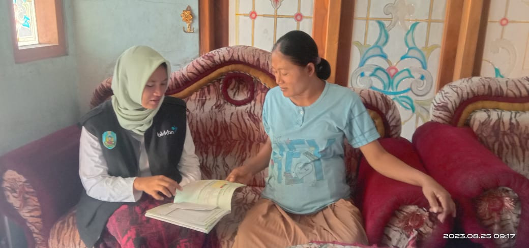 pendampingan ibu hamil