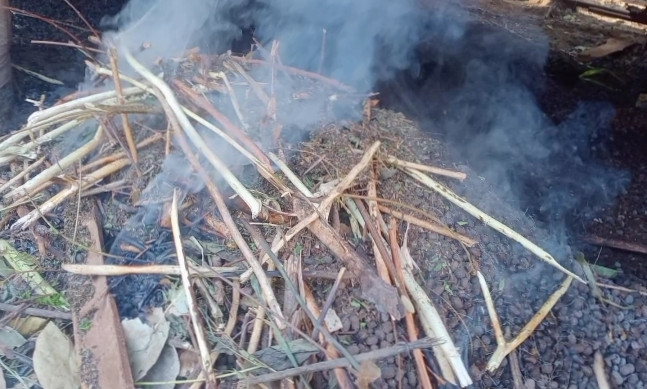 pembuatan pupuk organik kohe kambing