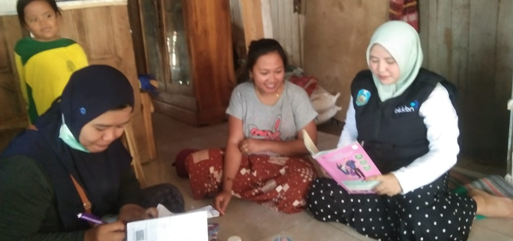 Pendampingan ibu hamil