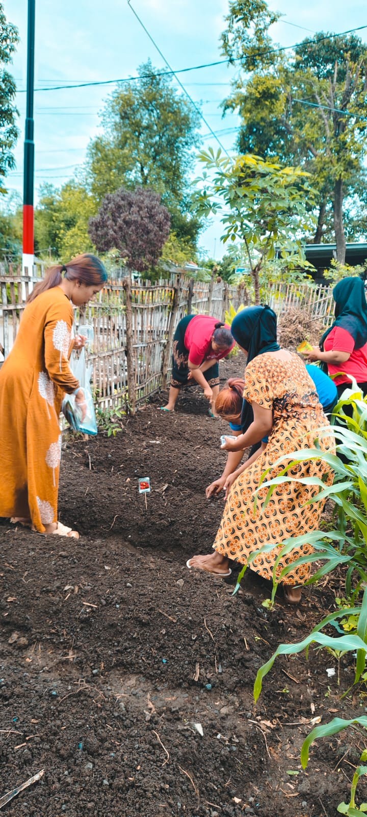 Penanaman bibit kangkung, sawing dan tomat senagai pemenuhan gizi pada posyandu ILP Markisa Desa jatisari