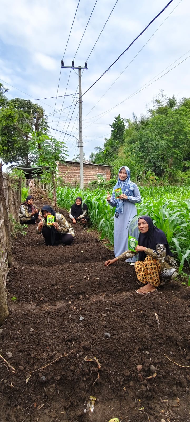 Penanaman bibit kangkung, sawing dan tomat senagai pemenuhan gizi pada posyandu ILP Markisa Desa jatisari